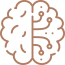 brain-4-qutt5i8k62ovcwfqngvgt108xez2rhs4vevcyn04ay.png